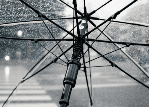 regen in koeln sicht durch transparenten schirm