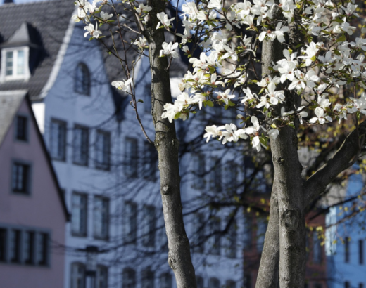 Frühling Köln Aktivität Tasting im Haus der Manufakturen