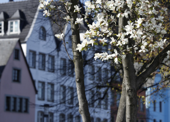 Frühling Köln Aktivität Tasting im Haus der Manufakturen